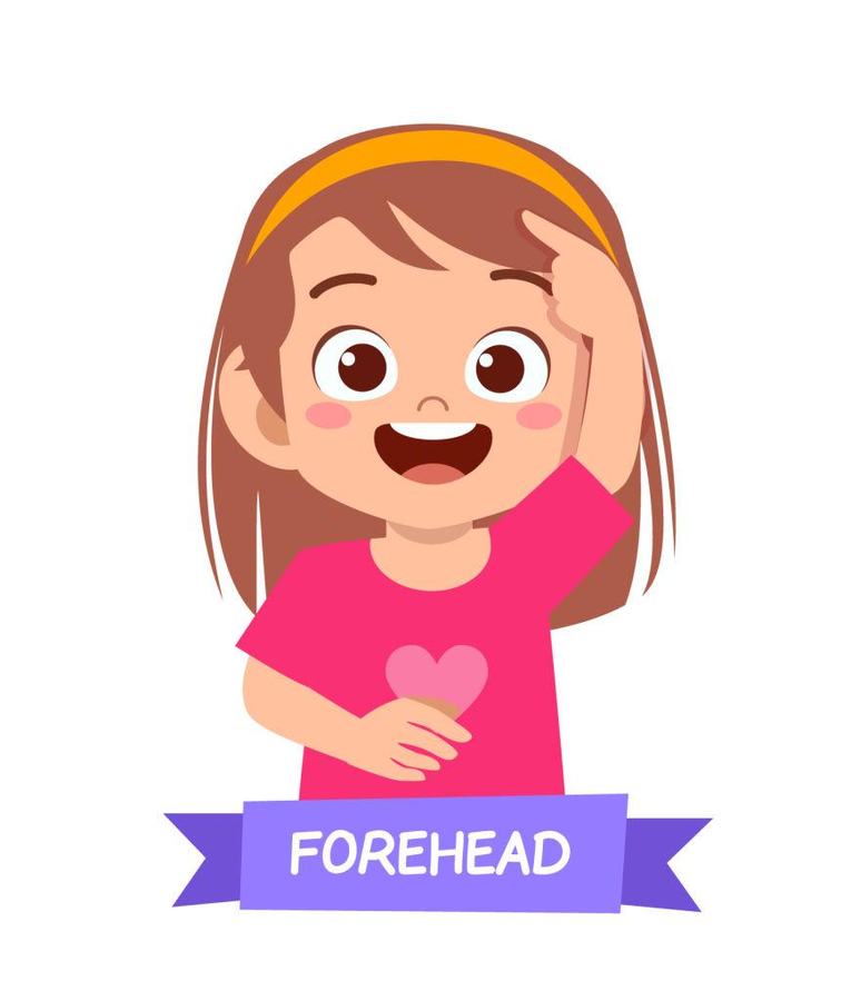 Forehead