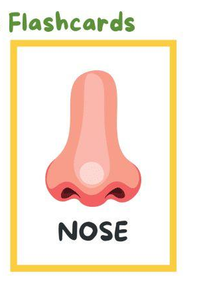 Nose