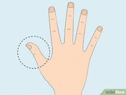 Fingers