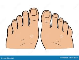 Toes